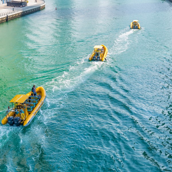 a group of people swimming in a body of water